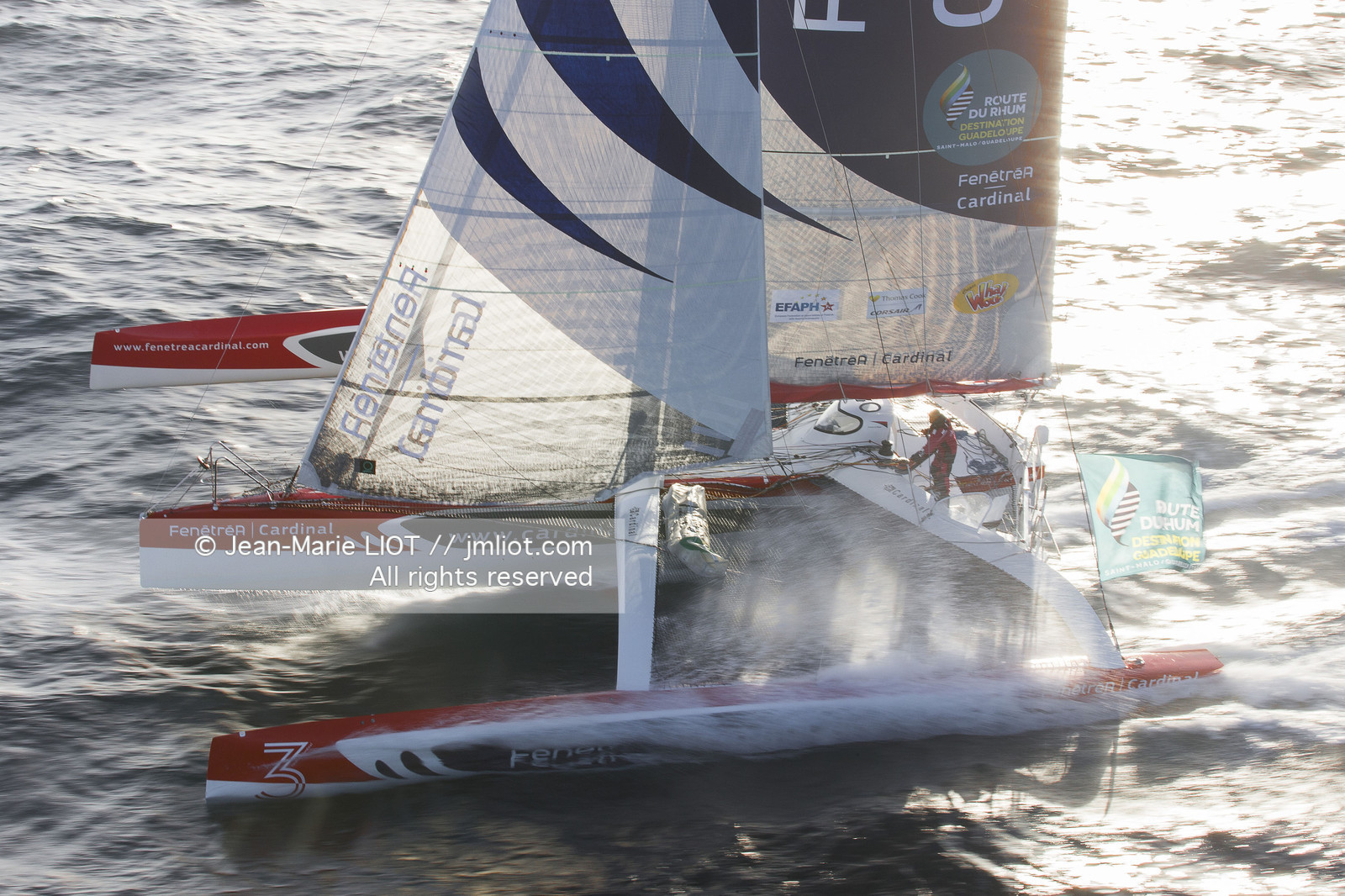 ROUTE DU RHUM 2014 - MULTI 50 FENETREA CARDINAL - ERWAN LE ROUX