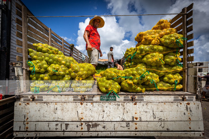 SALVADOR DE BAHIA-FOIRE DE SAO JOAQUIM