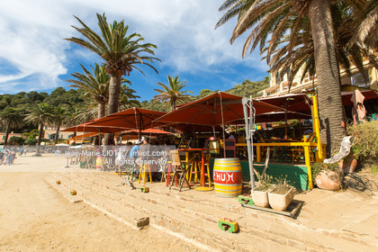 Port-Cros, au large d'Hyères dans le département du Var, petite île de 4 km de long est une réserve de la faune et la flore. Photo © Jean-Marie Liot.