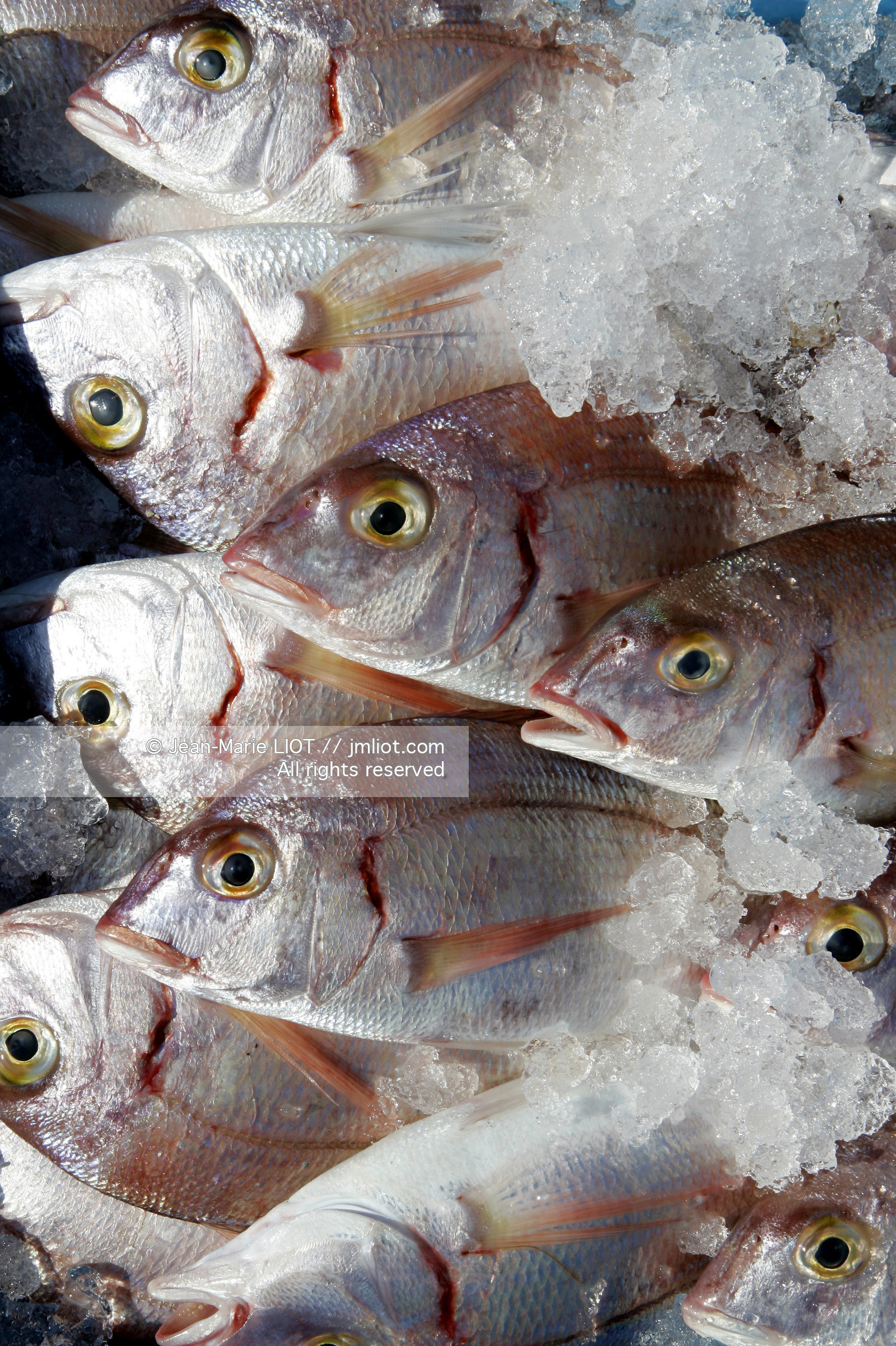 Les îles Eoliennes. Photo© Jean-Marie Liot..