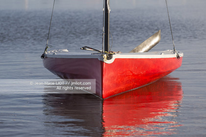 L'ALBATROS - JEAN-MARIE FINOT