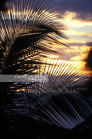 PHOTO ¬© JEAN-MARIE LIOT, GUADELOUPE.