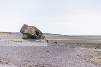 BAIE DE SOMME - 2020