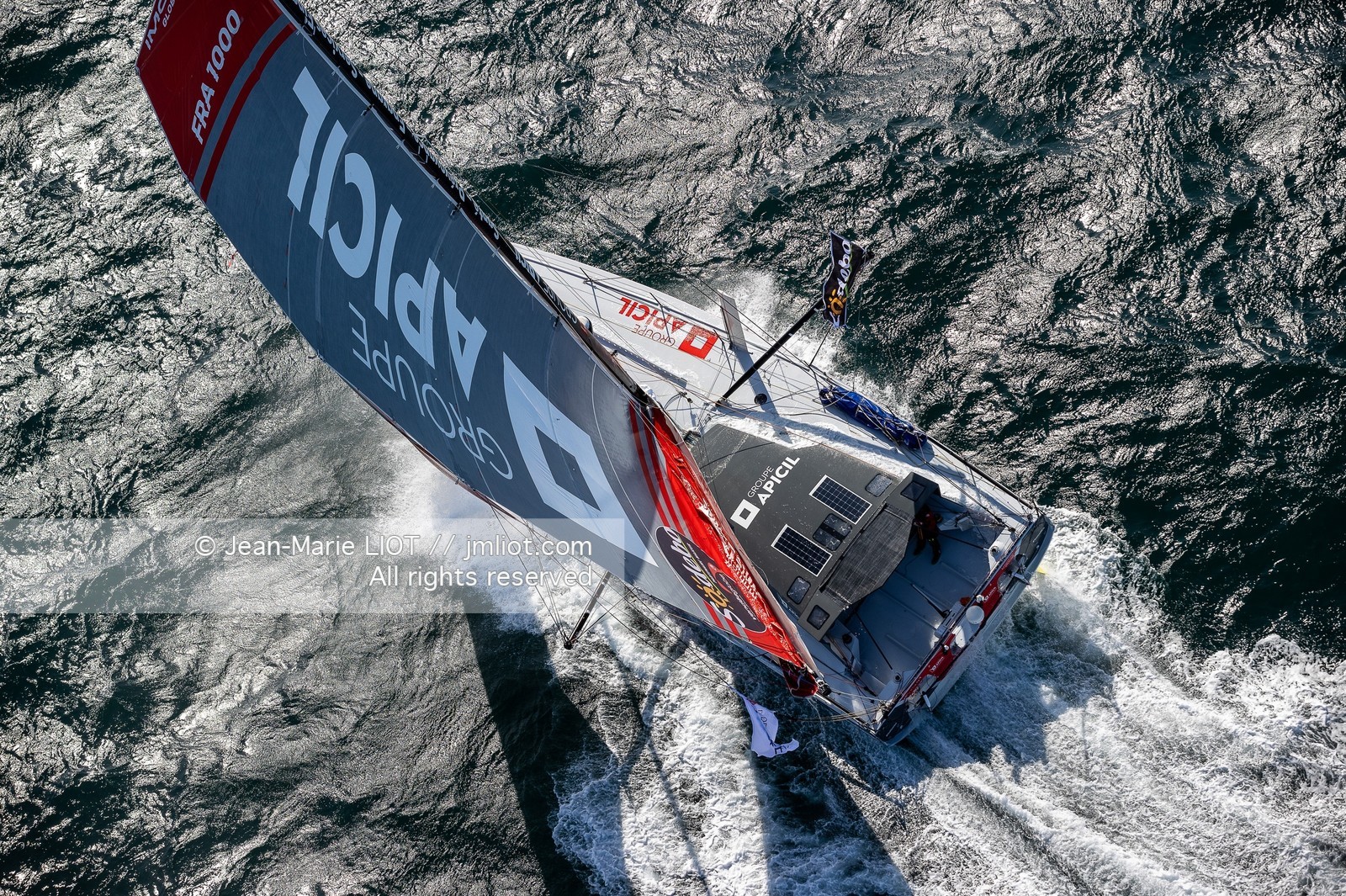 DAMIEN SEGUIN 2020 - IMOCA GROUPE APICIL