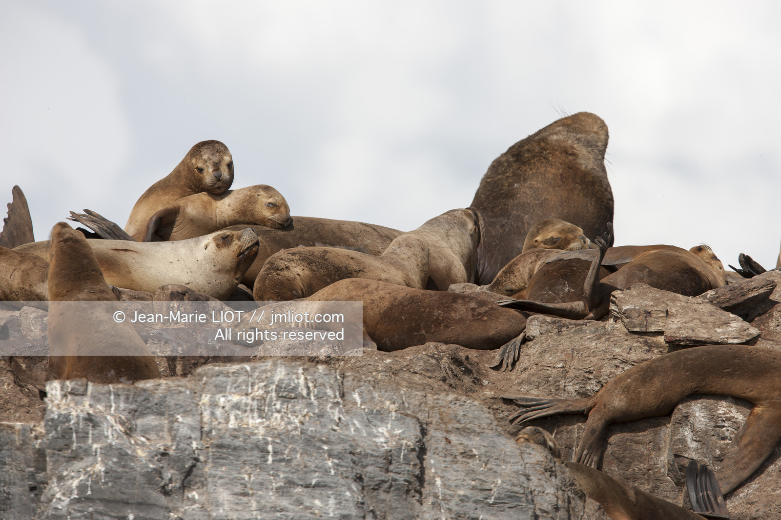 Ushuaia, Terre de Feu est la ville la plus australe du globe.Située à la pointe de l'Argentine cette province est la porte de l'antartique.photo © Jean-Marie Liot.