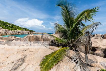 CROISIERE AUX ILES SEYCHELLES
