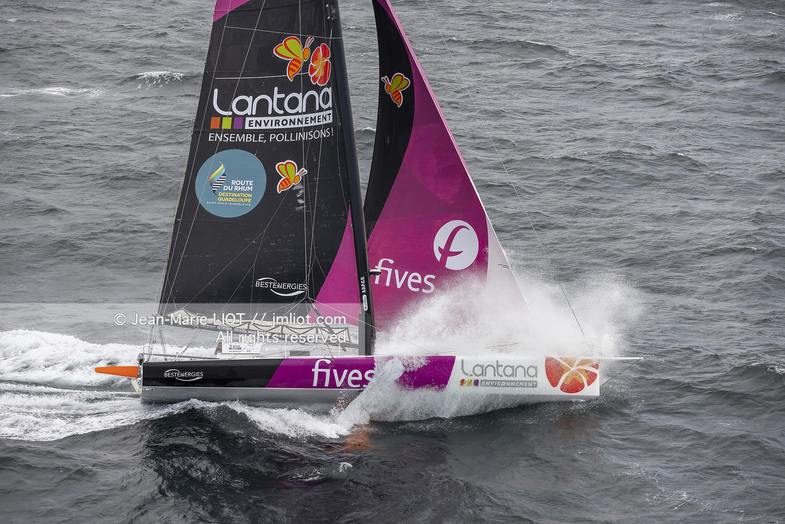 LOUIS DUC 2022 - ROUTE DU RHUM