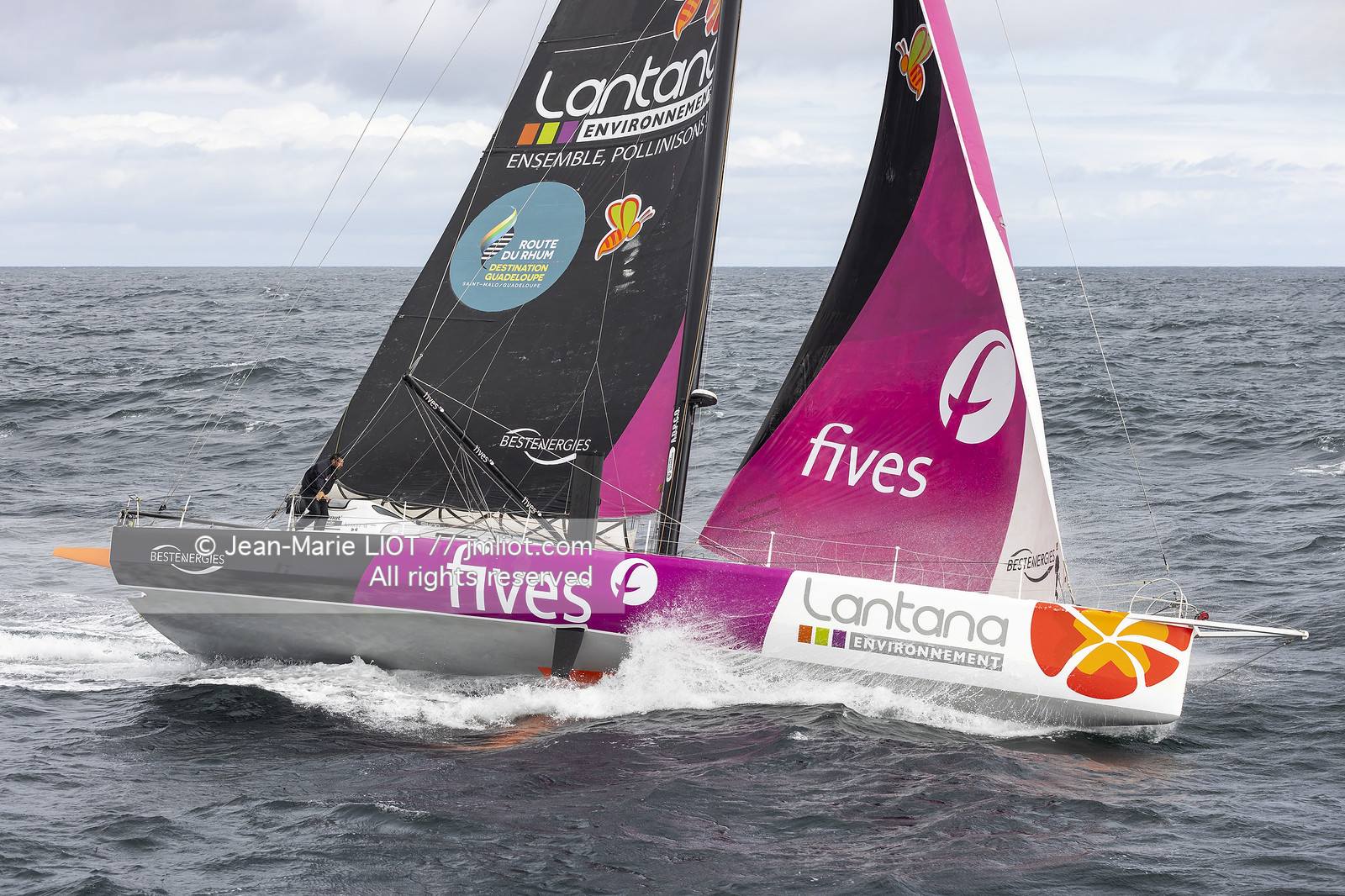 LOUIS DUC 2022 - ROUTE DU RHUM