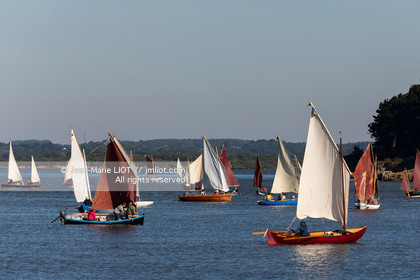 SEMAINE DU GOLFE 2017 - VOILES ET VOILIERS