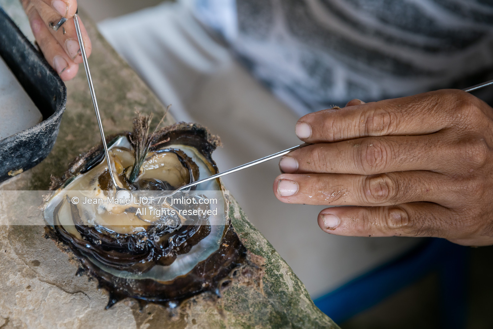CROISIERE TAHITI - ILES DE LA SOCIETE