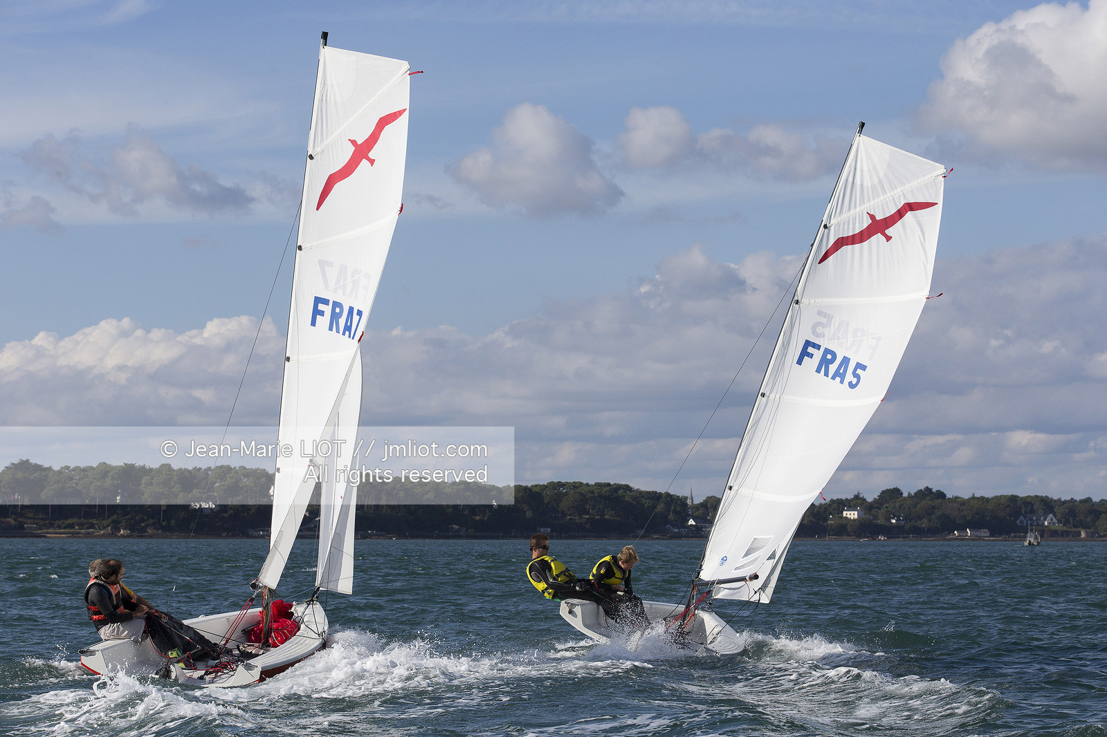 L'ALBATROS - JEAN-MARIE FINOT