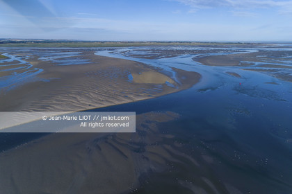 BAIE DE SOMME - 2020