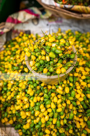 SALVADOR DE BAHIA-FOIRE DE SAO JOAQUIM
