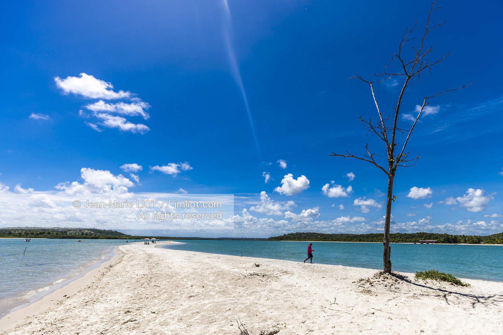 GLOBE40 - ILE DE COROA DO AVIAO