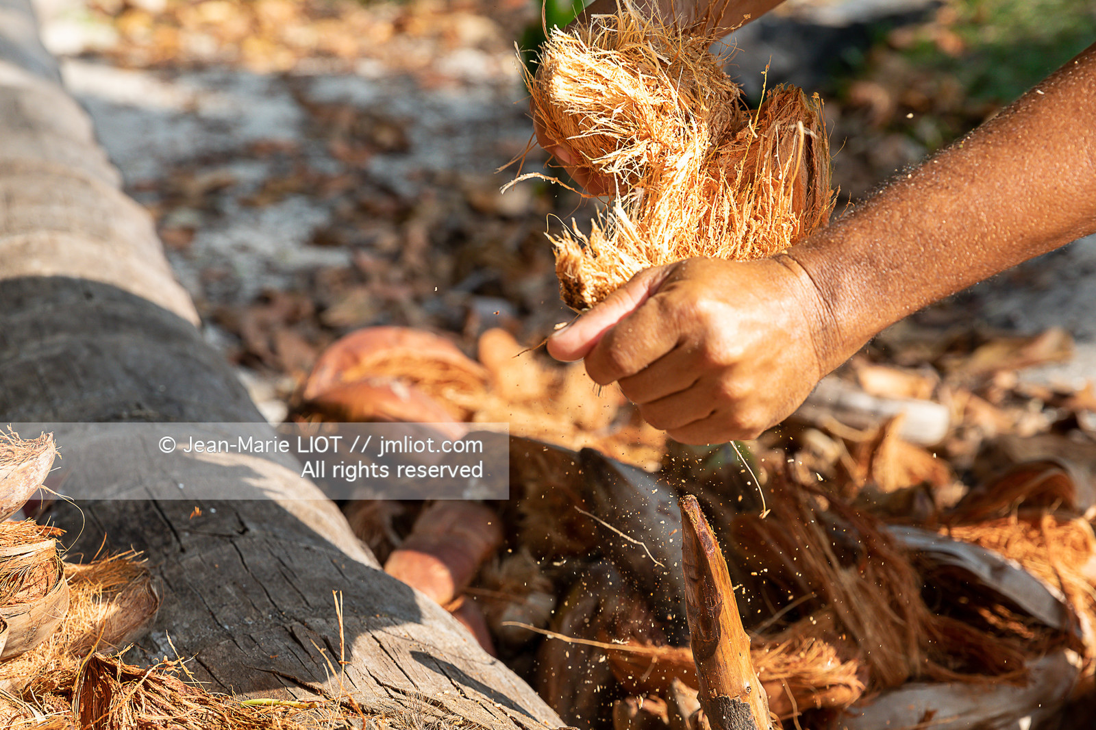 CROISIERE AUX ILES SEYCHELLES