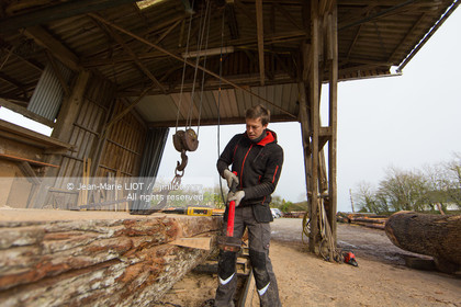 SCIERIE - DECOUPE DE BOIS
