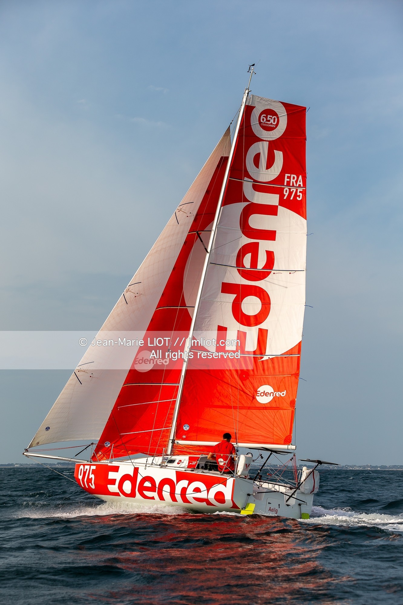 BASILE BOURGNON 2020 - MINI 650 EDENRED