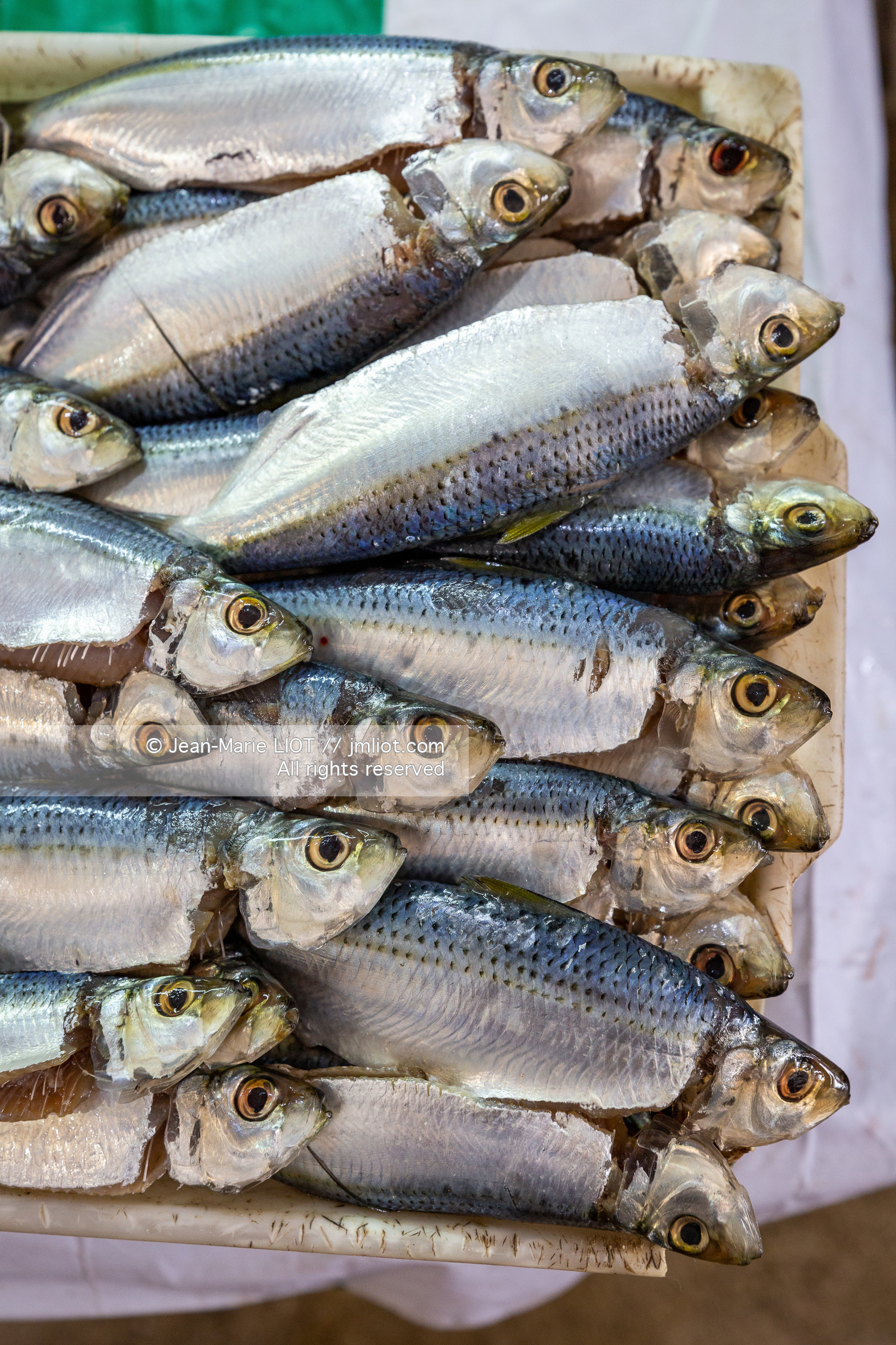 SALVADOR DE BAHIA-FOIRE DE SAO JOAQUIM