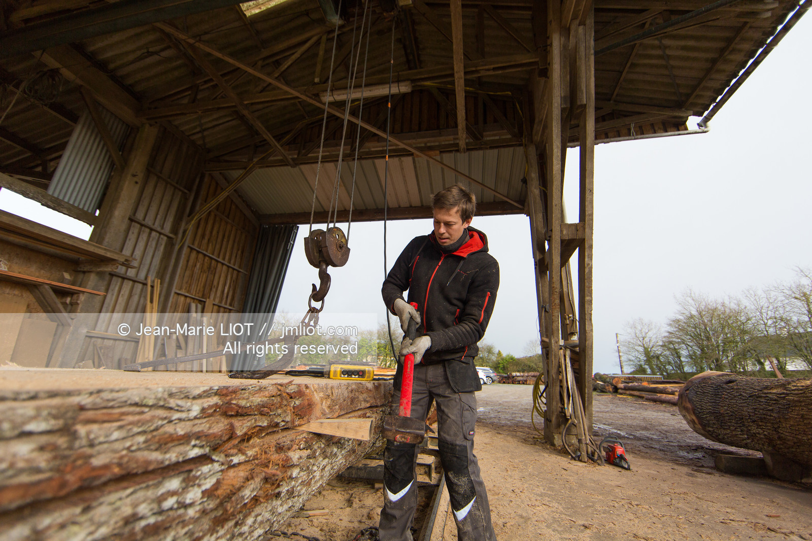 SCIERIE - DECOUPE DE BOIS