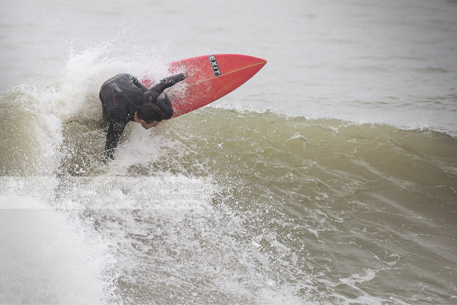 SAILING - TRANSAT JACQUES VABRE 2015 - ILLUSTRATION