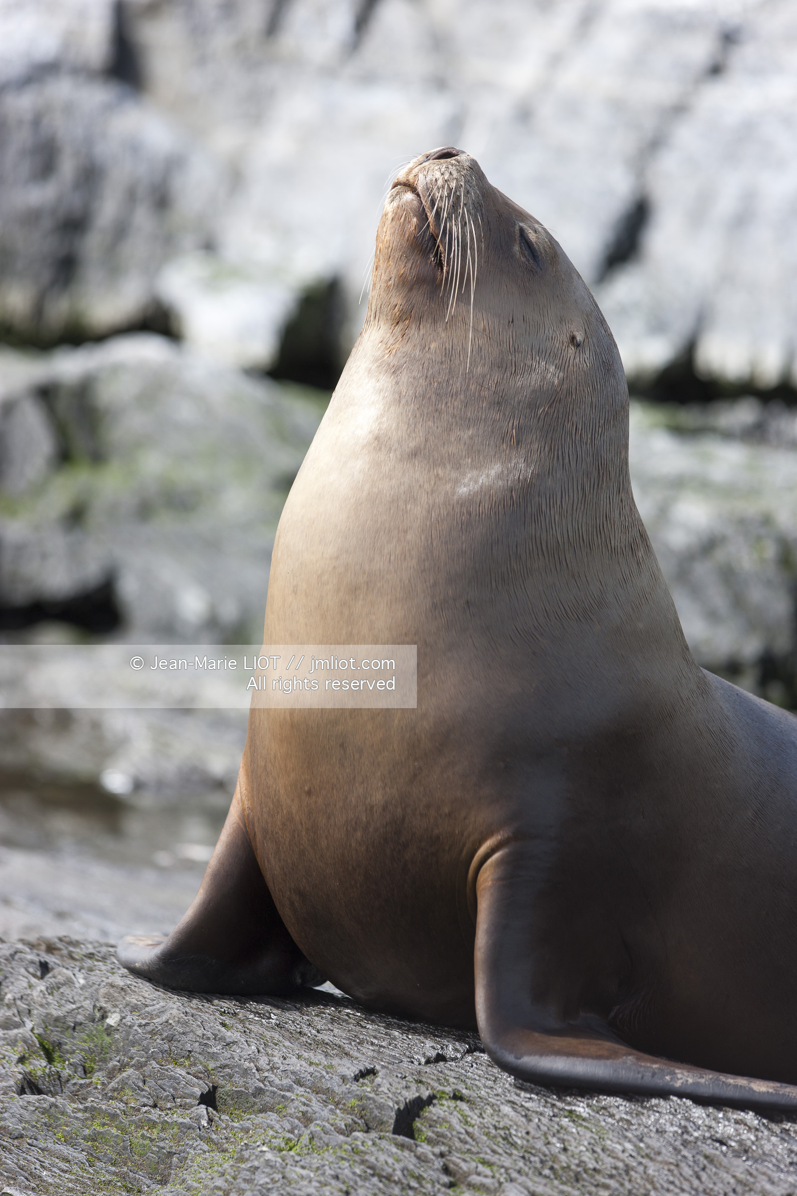 Ushuaia, Terre de Feu est la ville la plus australe du globe.Située à la pointe de l'Argentine cette province est la porte de l'antartique.photo © Jean-Marie Liot.