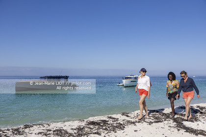 JPK COMPOSITES 2024 - NOMAD 40