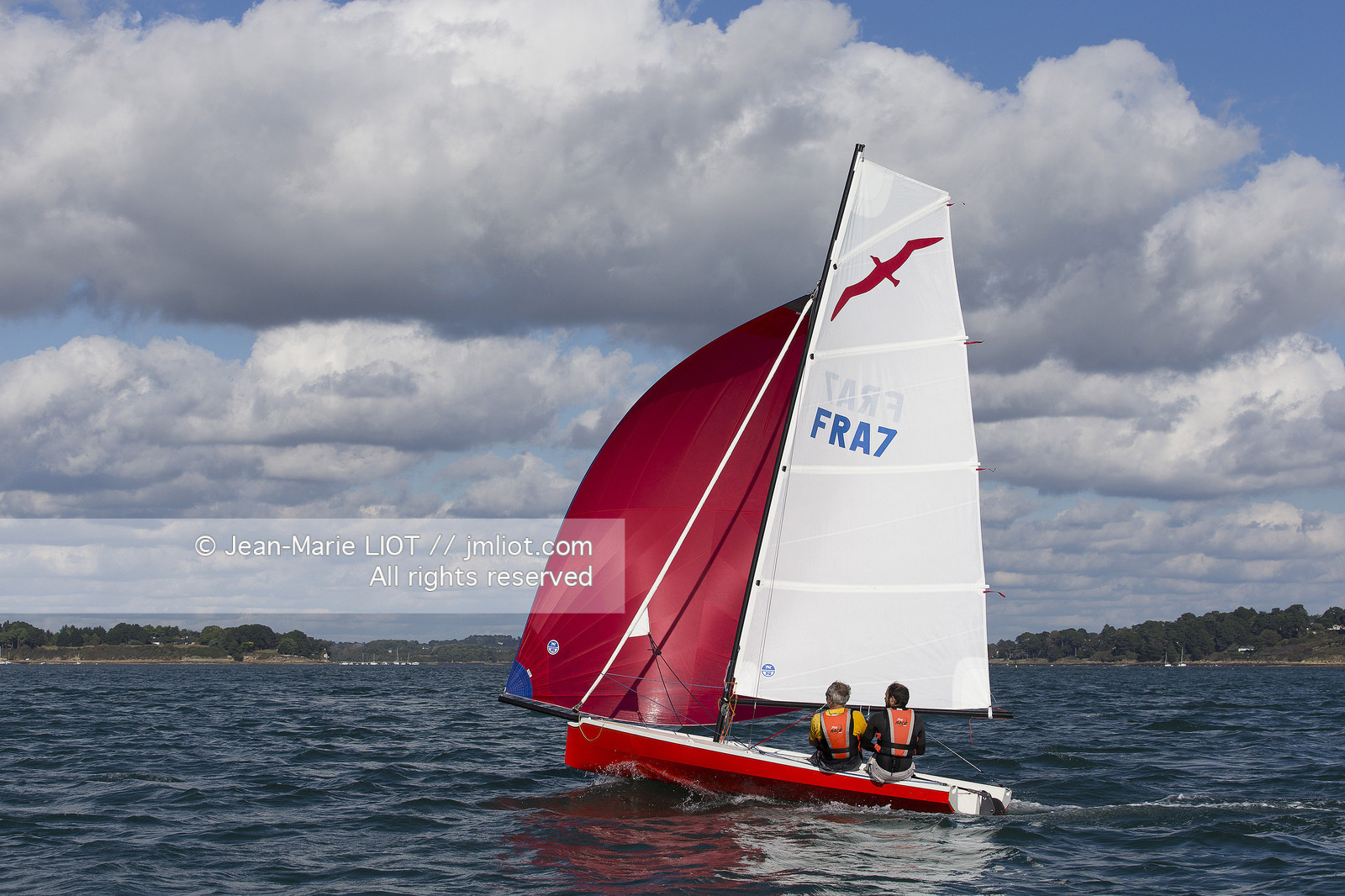 L'ALBATROS - JEAN-MARIE FINOT