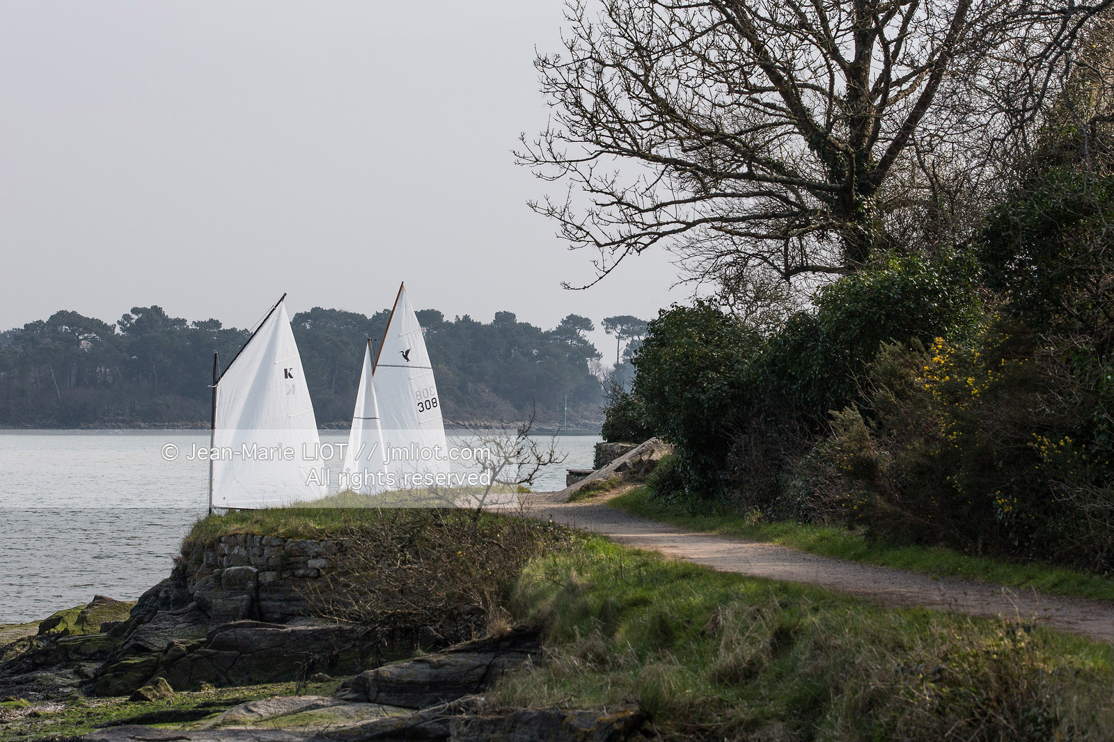 RIVIERE DE PONT LABBE - DECOUVERTE