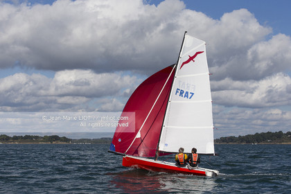 L'ALBATROS - JEAN-MARIE FINOT