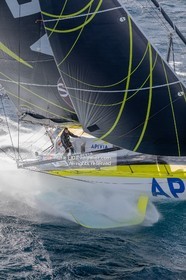 CHARLIE DALIN 2020 - APIVIA