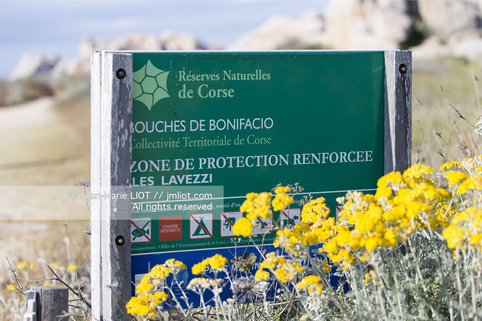 VOILES ET VOILIERS - CORSE DU SUD - LAVEZZI