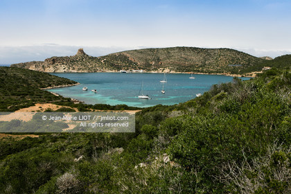 NEPTUNE-PRESTIGE 38S