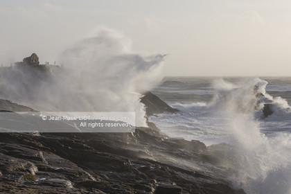 TEMPETE JANVIER 2014