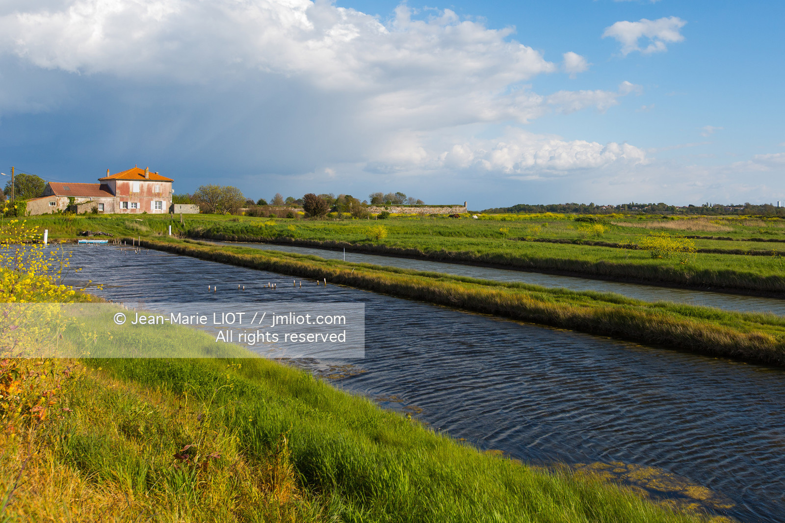VOILES ET VOILIERS 2016 - LES FORTS DE CHARENTE, BAIE DE LA ROCHELLE EN BIHAN 650