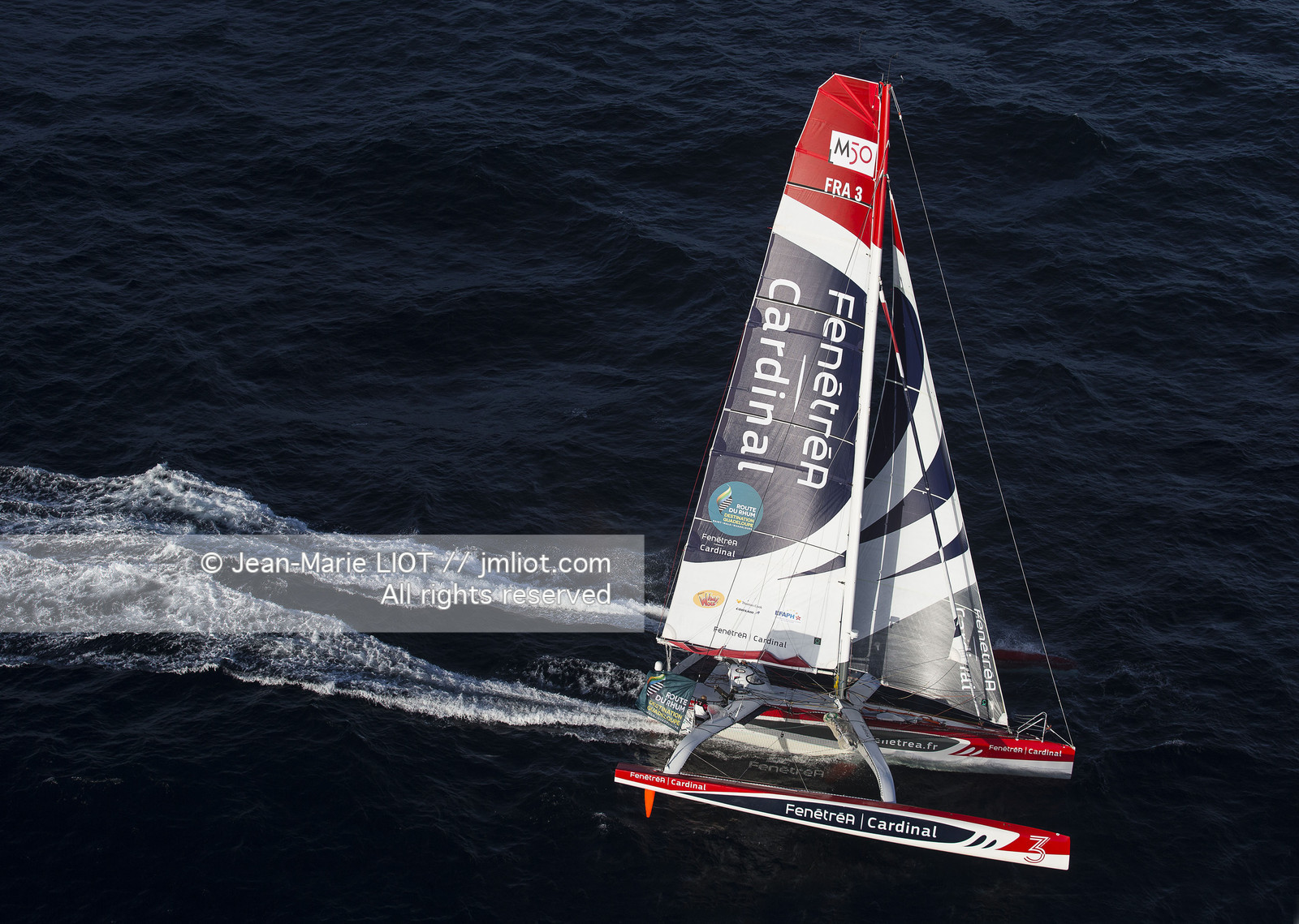 ROUTE DU RHUM 2014 - MULTI 50 FENETREA CARDINAL - ERWAN LE ROUX