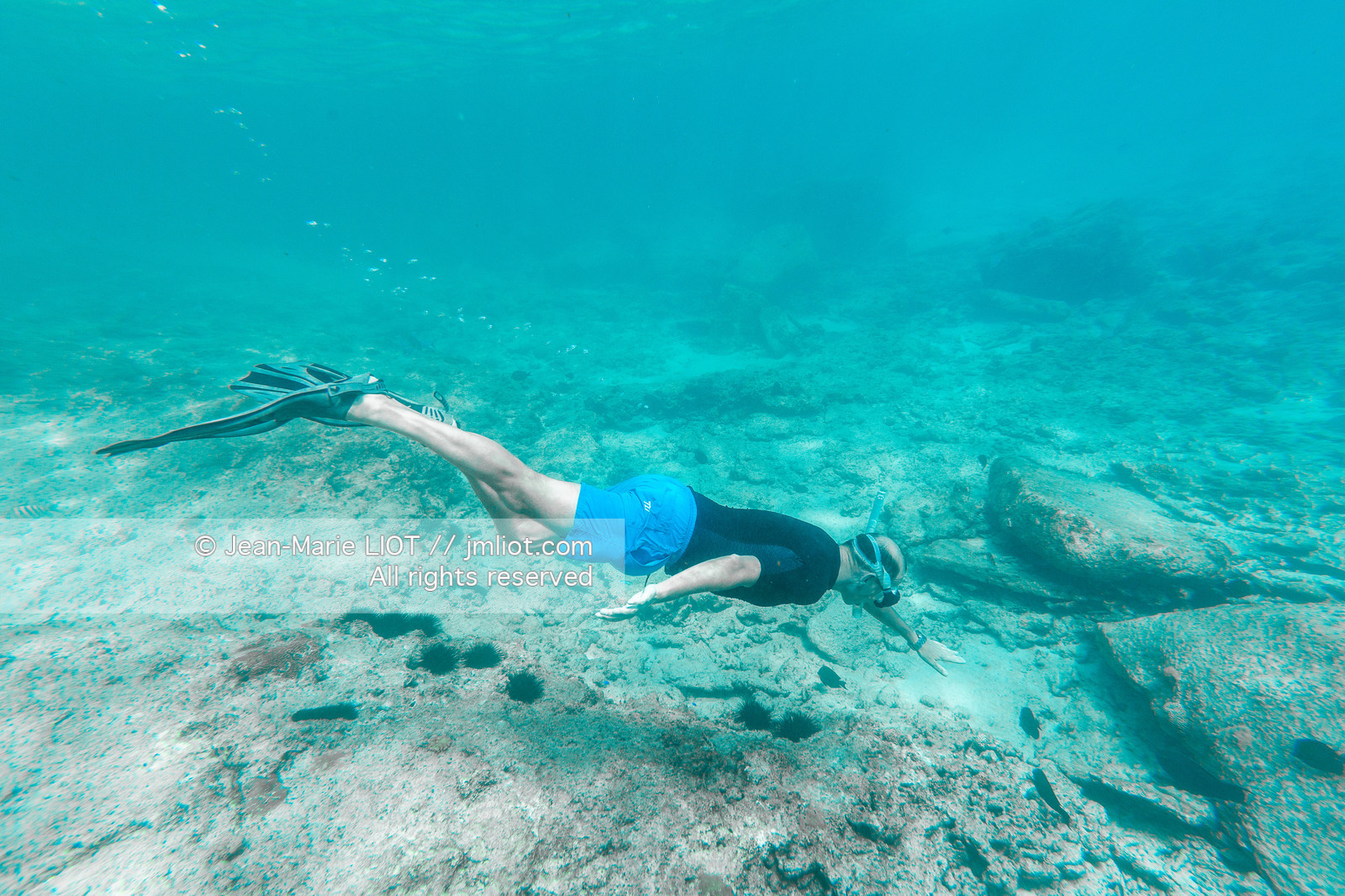 CROISIERE AUX ILES SEYCHELLES