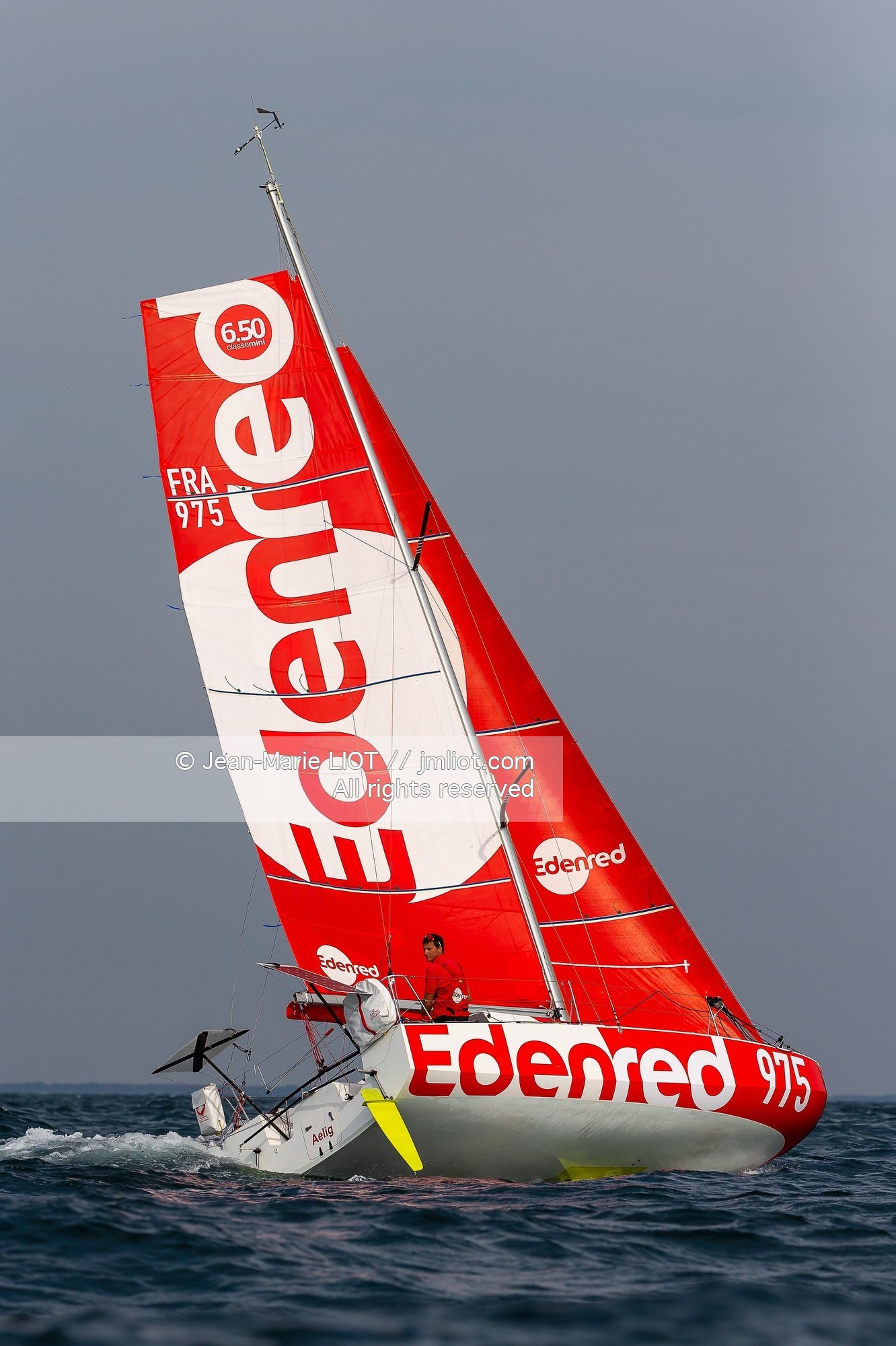 BASILE BOURGNON 2020 - MINI 650 EDENRED