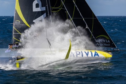 CHARLIE DALIN 2020 - APIVIA