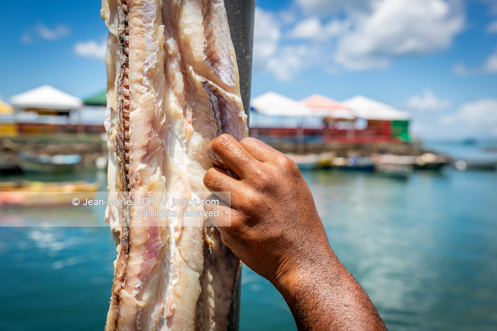 SALVADOR DE BAHIA-FOIRE DE SAO JOAQUIM