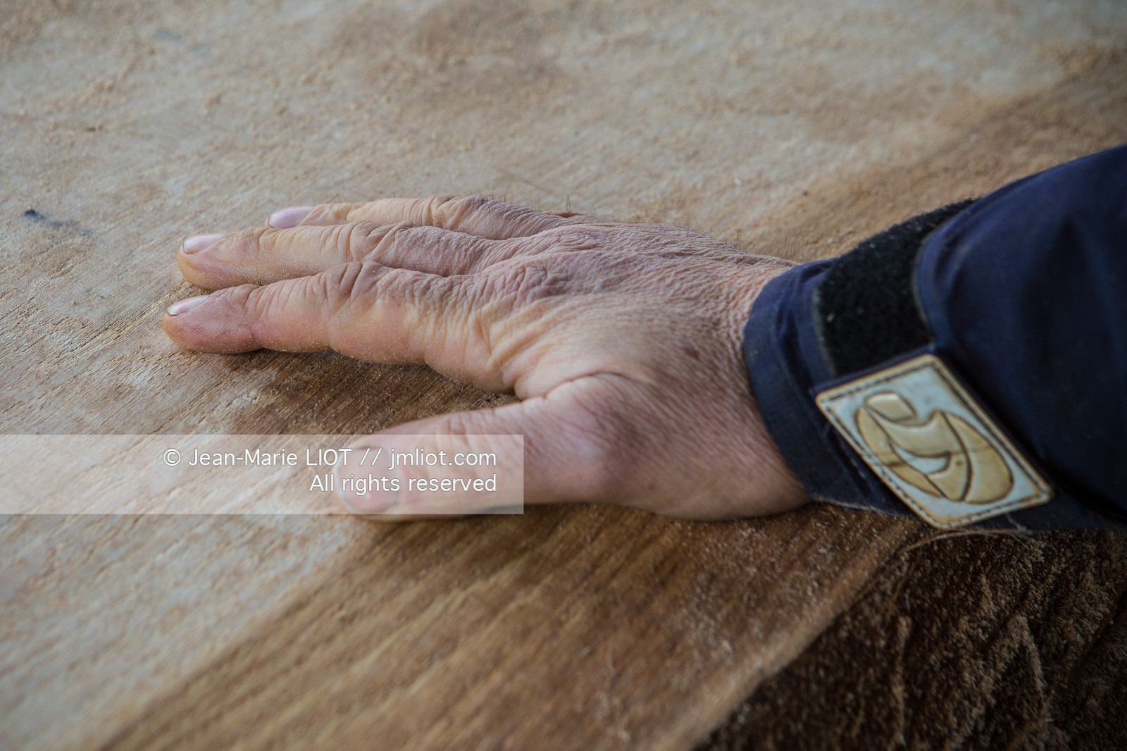 SCIERIE - DECOUPE DE BOIS