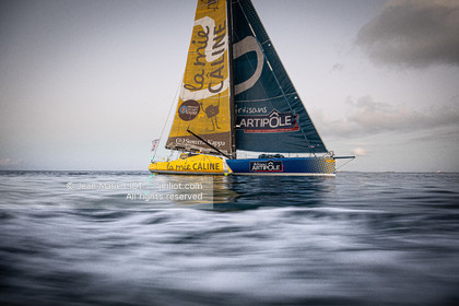TJV2019 ARRIVEE LA MIE CALINE - ARTIPÔLE