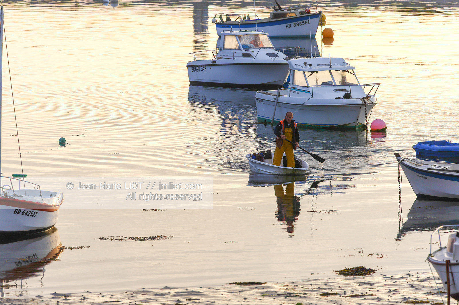 VOIILES ET VOILIERS - ILES OUBLIEES - ILE DE MOLENE