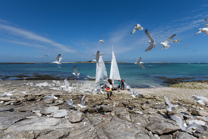VOILES ET VOILIERS - ECOLE DE VOILE DES GLENANS