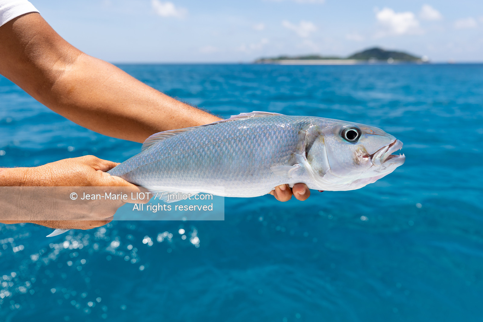 CROISIERE AUX ILES SEYCHELLES