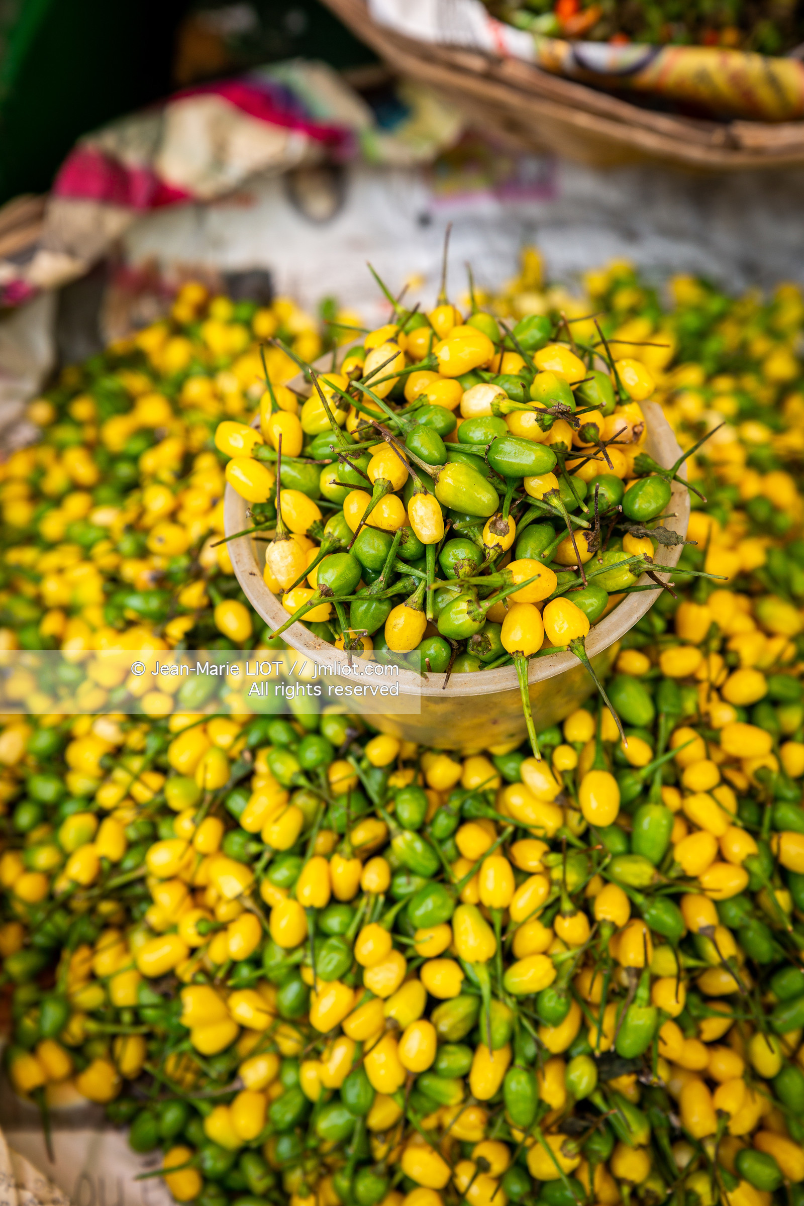 SALVADOR DE BAHIA-FOIRE DE SAO JOAQUIM