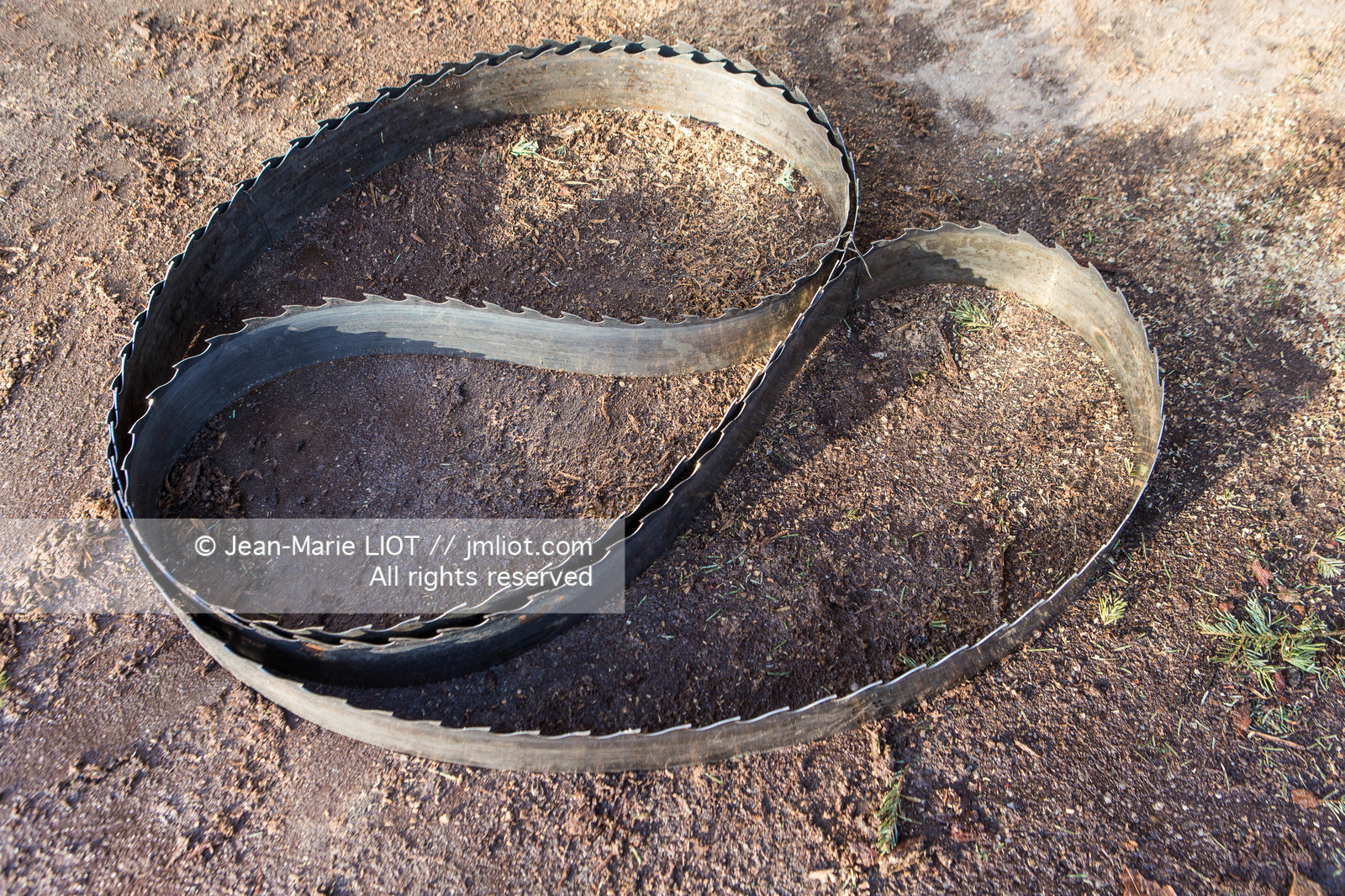 SCIERIE - DECOUPE DE BOIS