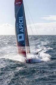 DAMIEN SEGUIN 2020 - IMOCA GROUPE APICIL