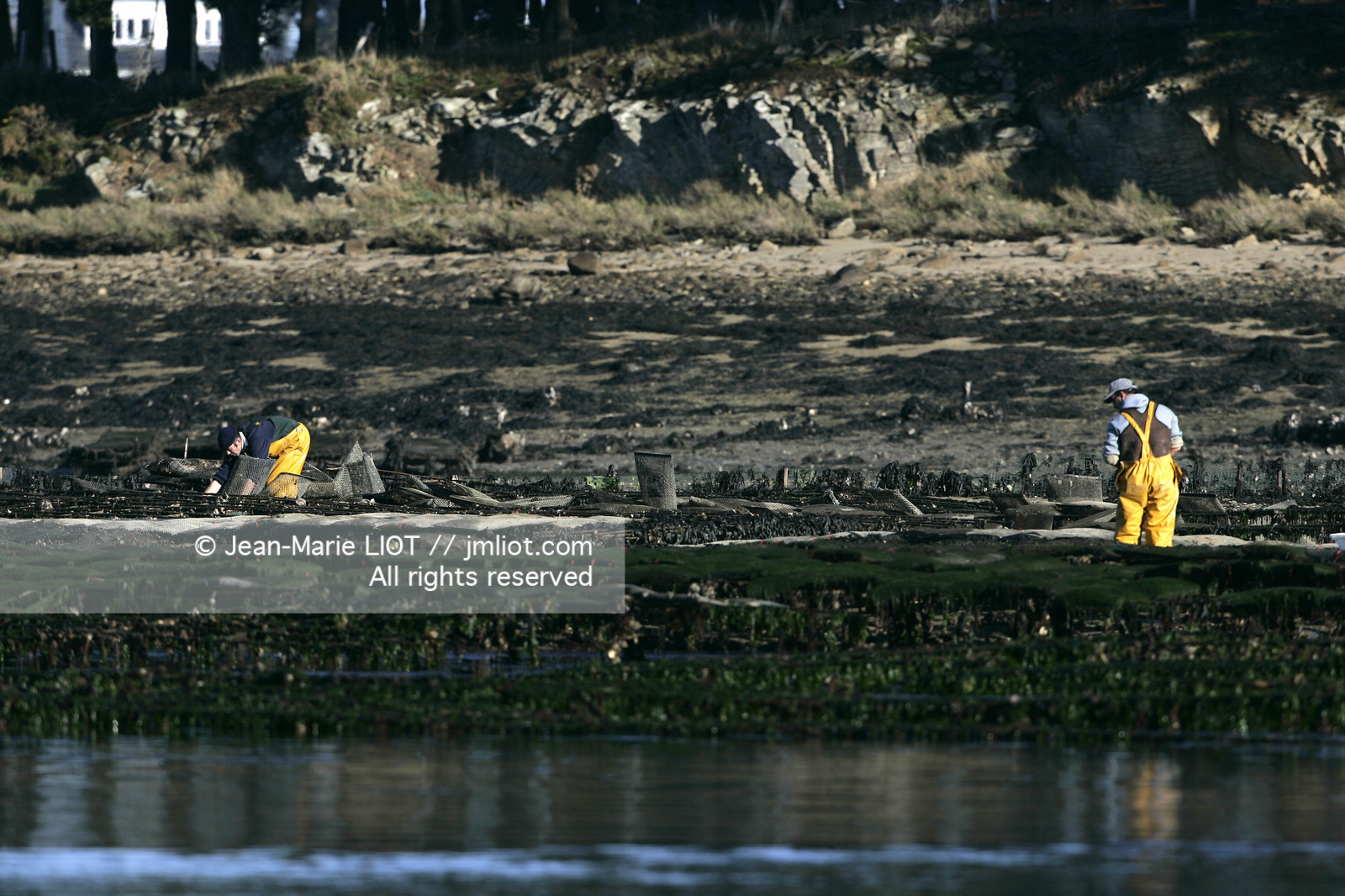 Ostreiculture dans les parcs à huitres du Golfe de Neptune. .photo © JEAN-MARIE LIOT.