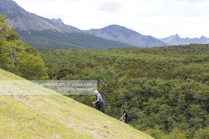 Ushuaia, Terre de Feu est la ville la plus australe du globe.Située à la pointe de l'Argentine cette province est la porte de l'antartique.photo © Jean-Marie Liot.