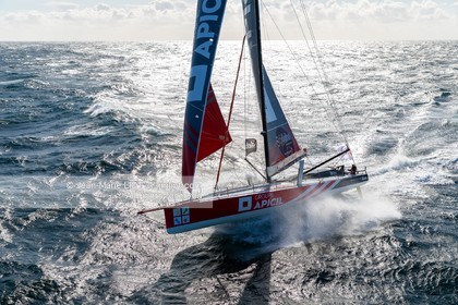 DAMIEN SEGUIN 2020 - IMOCA GROUPE APICIL